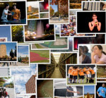 image gallery