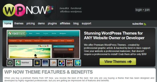 Premium WordPress Themes