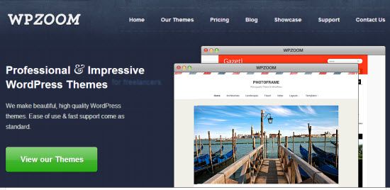 Premium WordPress Themes