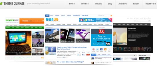Premium WordPress Themes