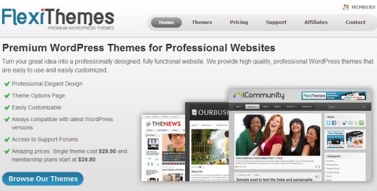 Premium WordPress Themes