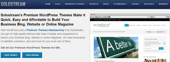 Premium WordPress Themes