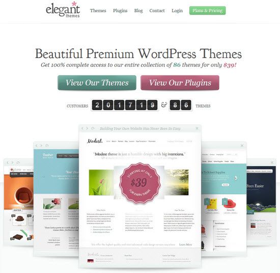 Premium WordPress Themes