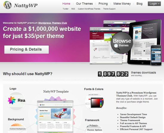 Premium WordPress Themes