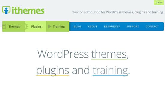 Premium WordPress Themes