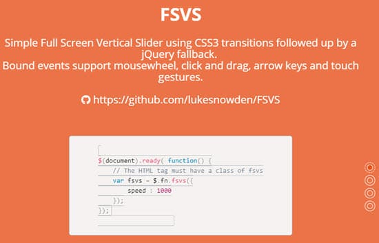 fsvs 1