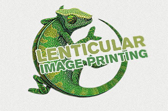 Animal Logo Designs
