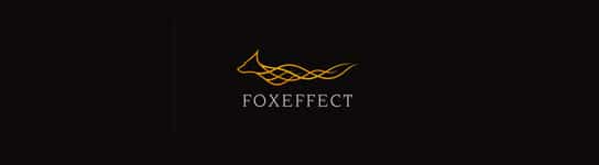 Animal Logo Designs