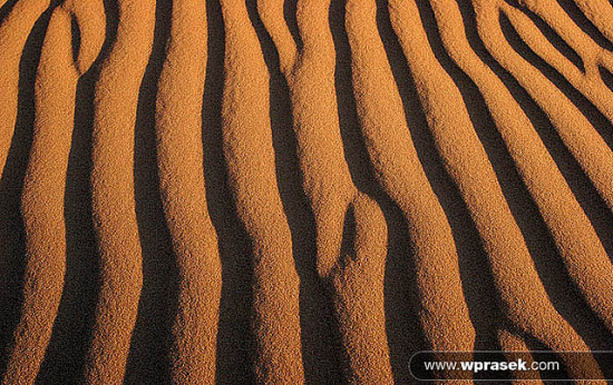 Desert Textures