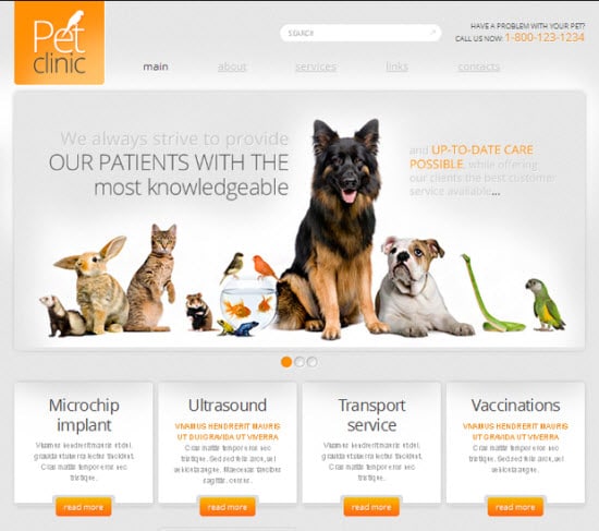 Website Templates