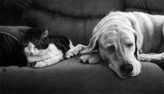 Pencil Drawings