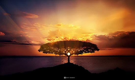 Photo Manipulation