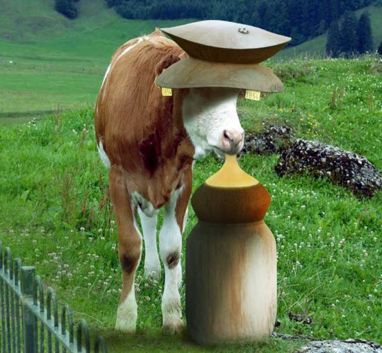 Photo Manipulation