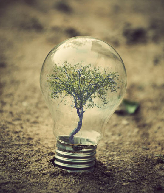 Photo Manipulation
