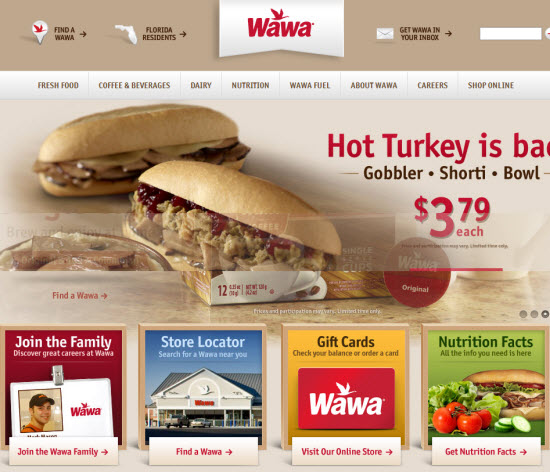 WordPress Built Websites