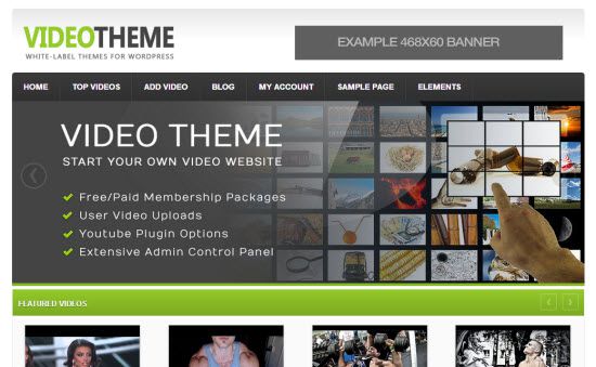 WordPress Video Themes