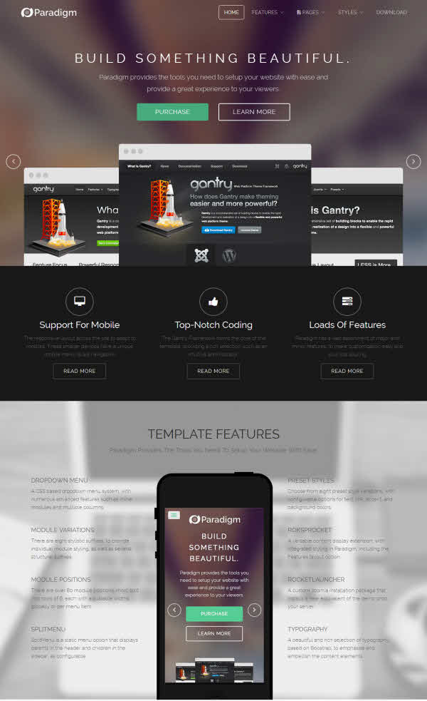 Paradigm Joomla Template