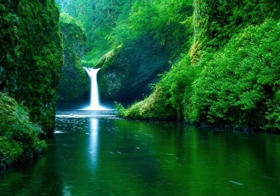 Nature Photography