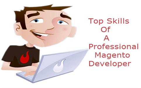 Top Skills Of A Professional Magento Developer