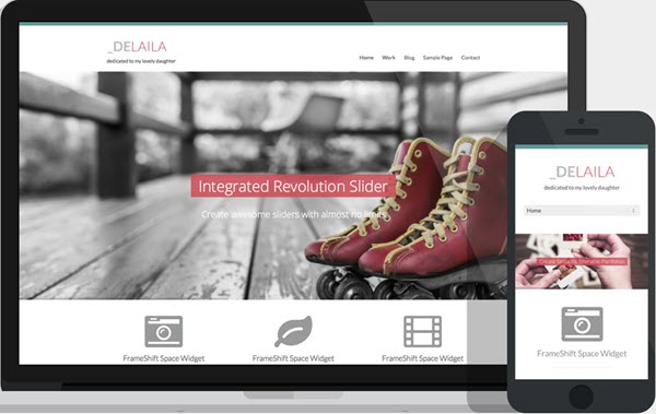 WordPress Themes
