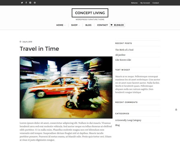 WordPress Themes
