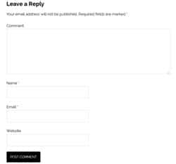WordPress Comment