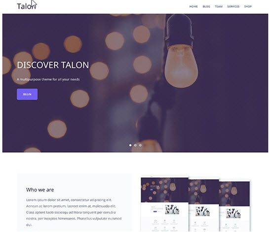 Talon Free WordPress Themes