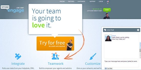 SnapEngage WordPress live chat plugins