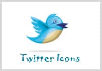 twitter icon